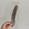 feather