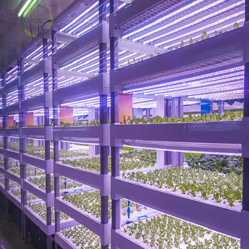 Mushroom Farming Smart Growing Container for Sale