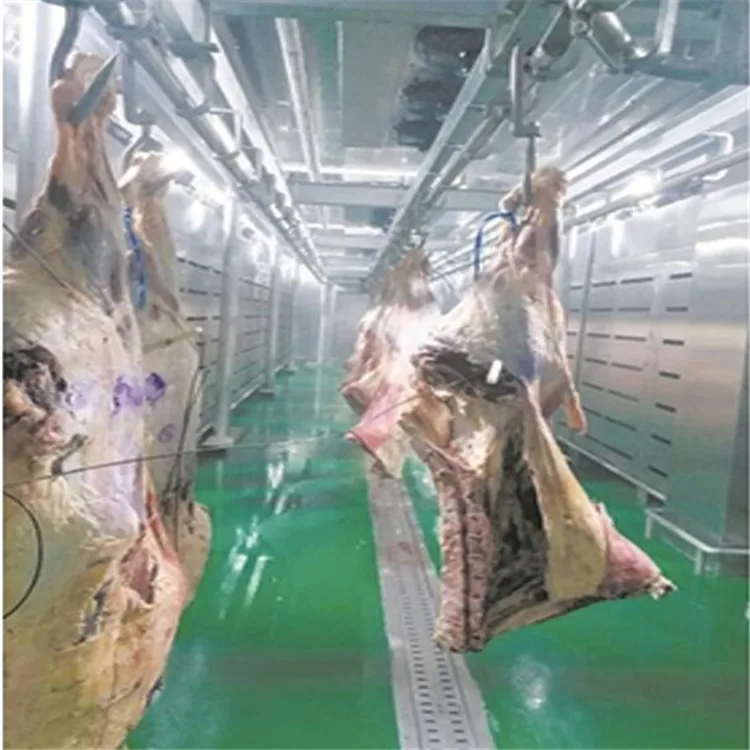 Industrial low temperature and high humidity defrosting system for slaughterhouses