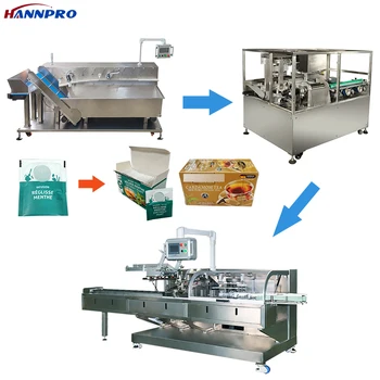 HANNPRO factory price Tea packing machine automatic 50g Sachet Pouch Bag Carton Boxing Machine