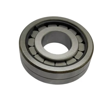 OEM Single Rows Cylindrical Roller Bearing MU1305 TDM