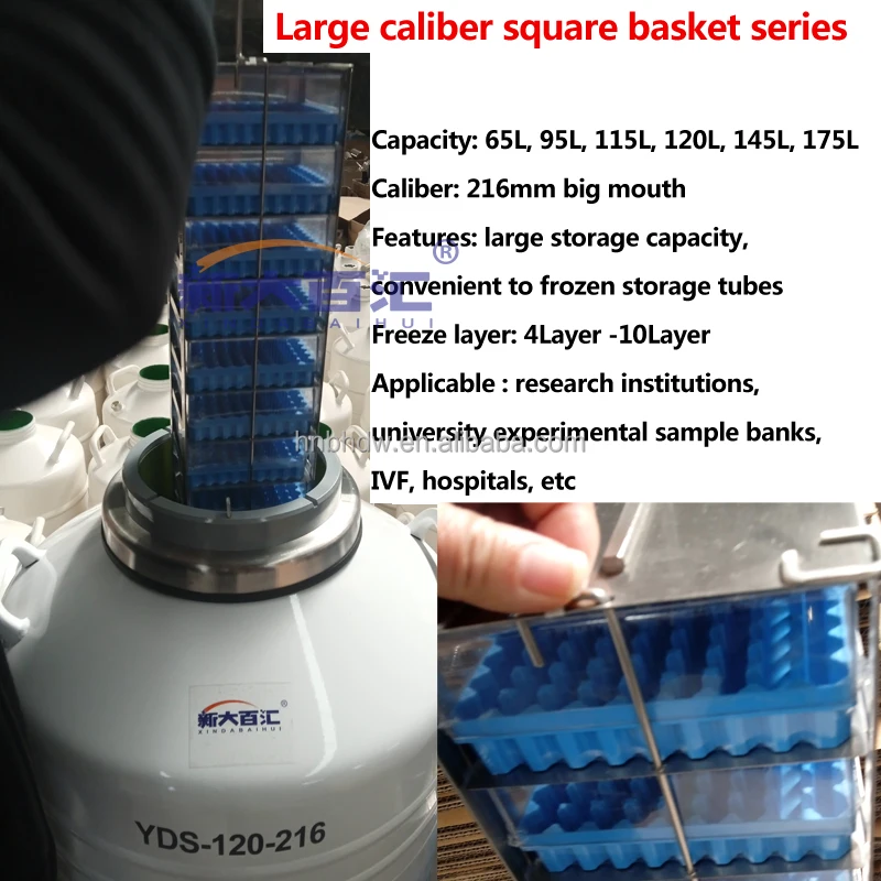 Cell Tissue Vaccine Large Capacity Cryogenic Storage YDS-115 120liter Liquid Nitrogen Container with Freezer Box