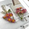 Rose Pink