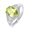 JH0369-4Olivine