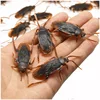 Cockroach