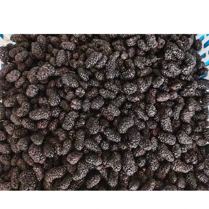 Freeze Dried Mulberry Whole - Bulk Wholesale from China Factory Ha6d9fd30a33e40fd93ecd87a5fd688fbA