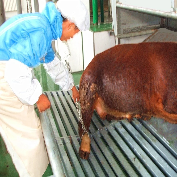 Hydraulic skin peeling machine cow slaughtering equipment