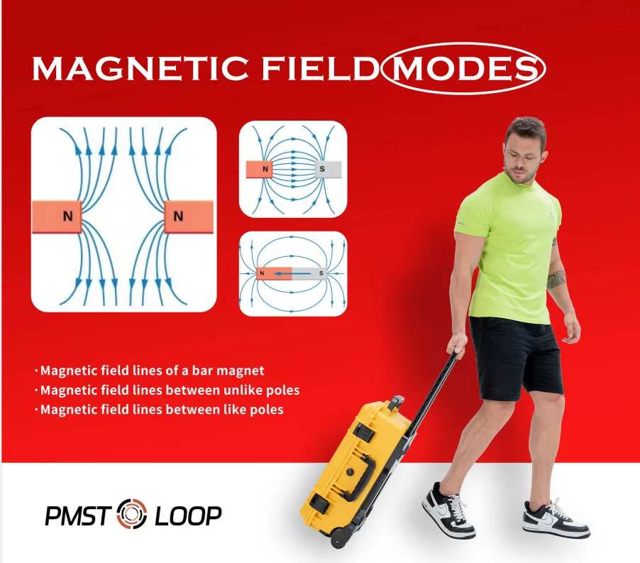 6000 Gauss PEMF Loop Physio Magneto Pulser Therapy Device Horse Physiotherapy Rehabilitation Equipment