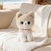 Gatto burattino