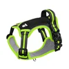 fluorescent green