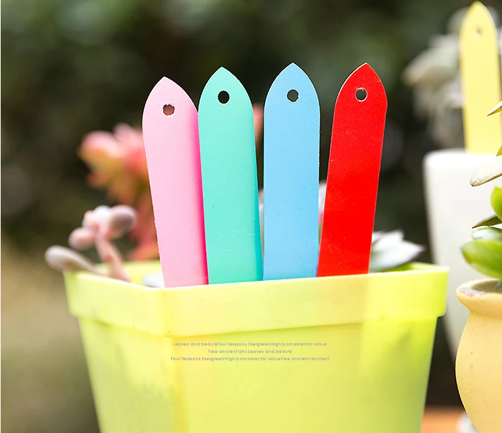 10x2cm Plants Labels Perforated Pvc Plastic Hanging Labels Gardening