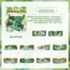 B Cascading Waterfalls and Gurgling Springs-green