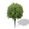 60cm boxwood green