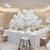 White 03