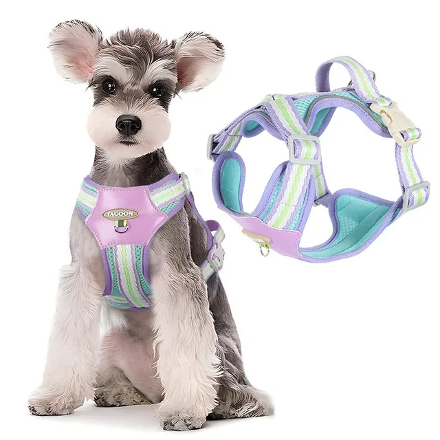 Small Dogs Breathable Mesh Pet Chest Harness Colorful Dog Walking Leash Comfortable Pet Harnesses