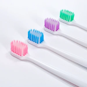 Hot Selling New Adult Luxury Toothbrush Soft Nylon Bristle Plastic Biodegradable Disposable for Home Use PVC Box Packaging