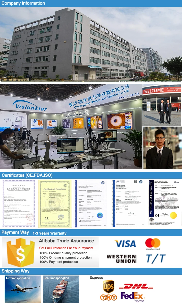 Company Information