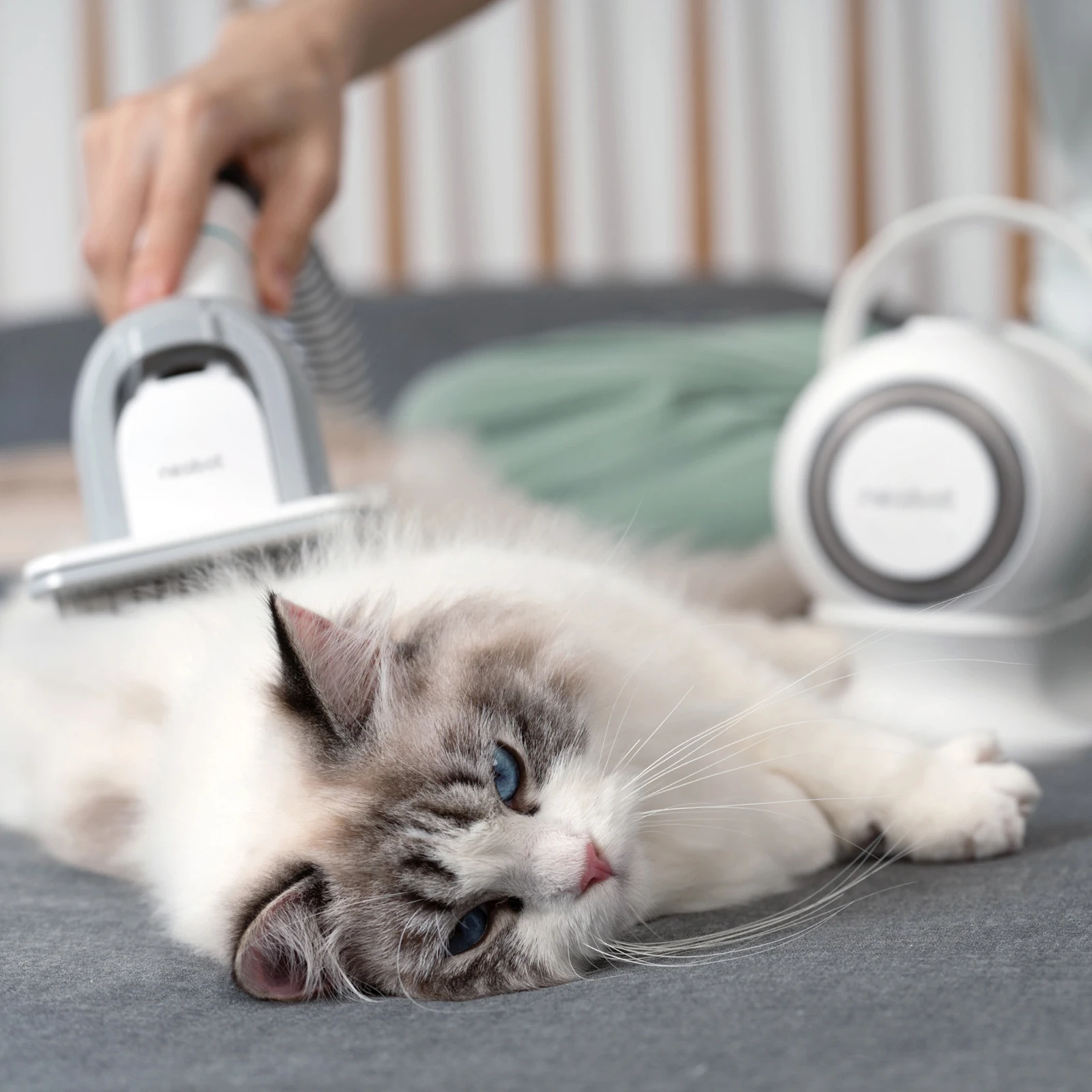 NEAKASA Pet Grooming Kit - Efficient & Sustainable Solutions