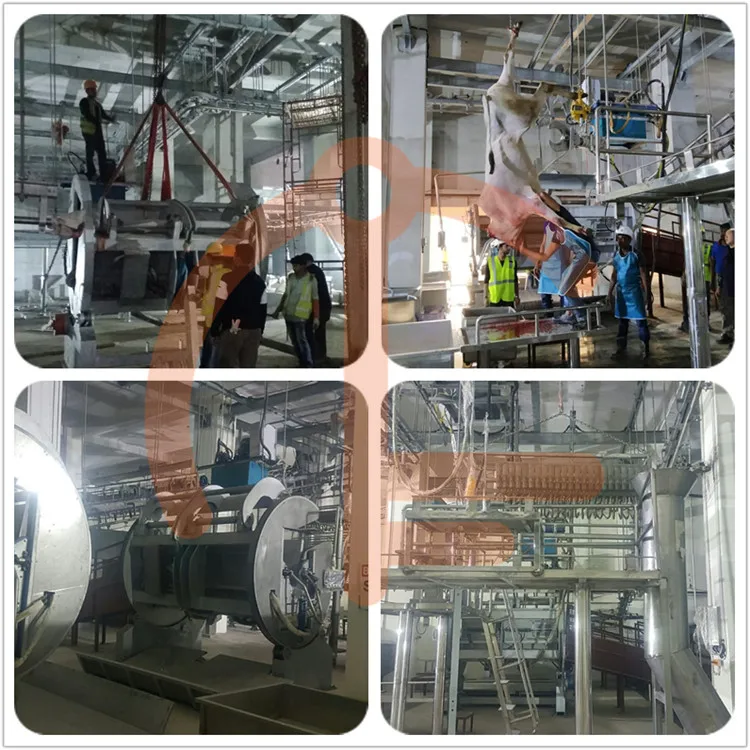 High-quality slaughtering equipment for slaughtering lines