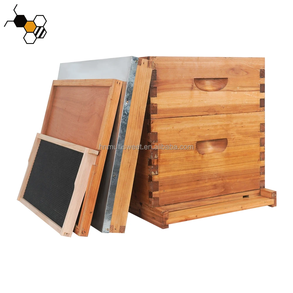 2023 Beekeeping Equipment 2 Layers Waxed Coated Langstroth Beehive 10 ...