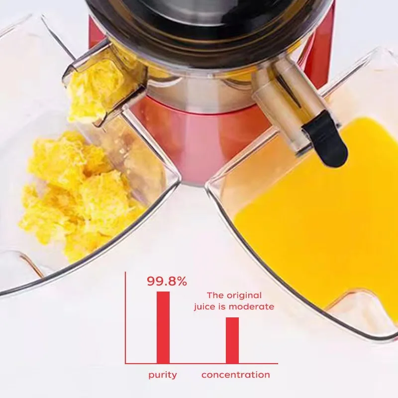 Hot Selling Household 250w Good Quality Slow Masticating Juicer Cold