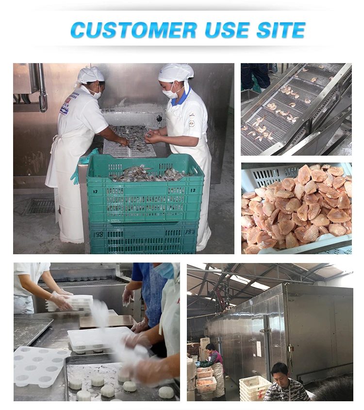Spiral Individual Tunnel Freezer, custom made, Spiral Freezer - detail 8