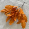 สีส้ม