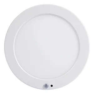 Modern High Lumen LED Panel Light in White Warm Color for Hospitals Schools & Offices 3000K 4000K 6500K CEILING PANEL LIGHT