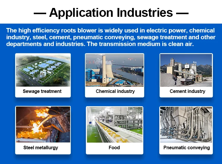 Roots Blower, Cast, 0.6-1200m/min - detail 24
