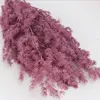 PURPLE PINK
