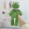 Green ladder hairy frog unstuffed