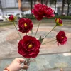 Rojo