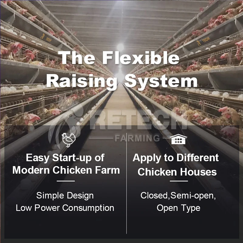 Full Automatic H Type 4 Tier 10000 Egg Layer Chicken Cage With Automatic Feeder System