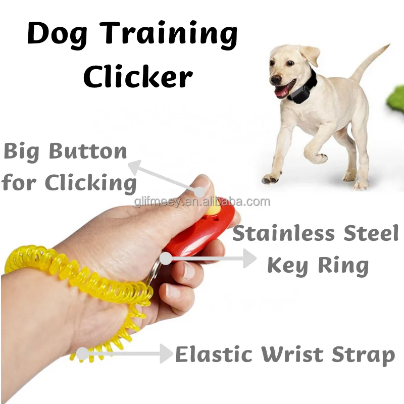 Positive Reinforcement Large Breed Dog Training Puppy Essentials