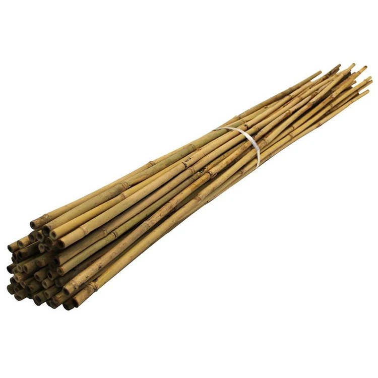 2FT 3FT 4FT 5FT 6FT Bamboo Garden Canes Strong Thick Quality Plant Support  Stick