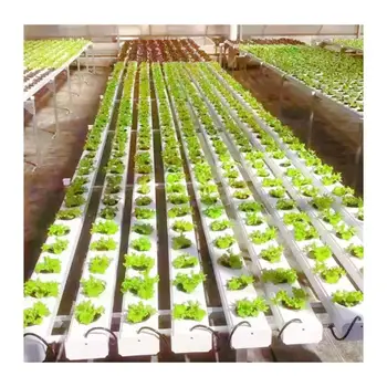 Farm Cultivation NFT Greenhouse Hydroponic PVC Channel Equipment For Lettuce