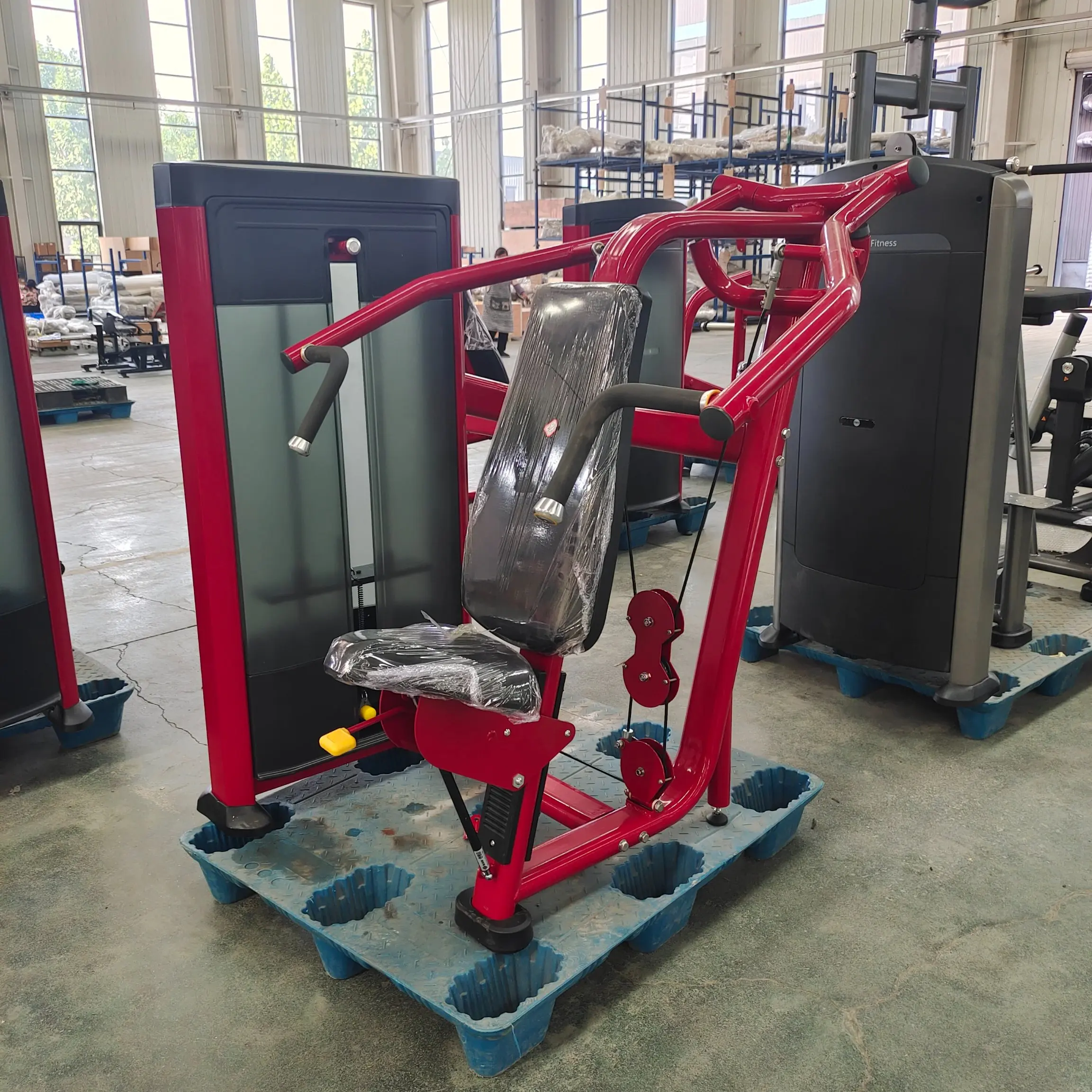 45枚セットAFBB Asian Body Building Fitness 45枚セットAFBB Asian Body Building Fitness Gym Fitness