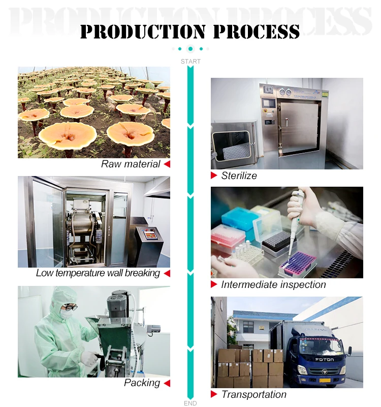 Shellbroken Herbal Lingzhi Ganoderma Spore Powder Plant Extract