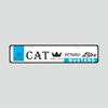 un gatito