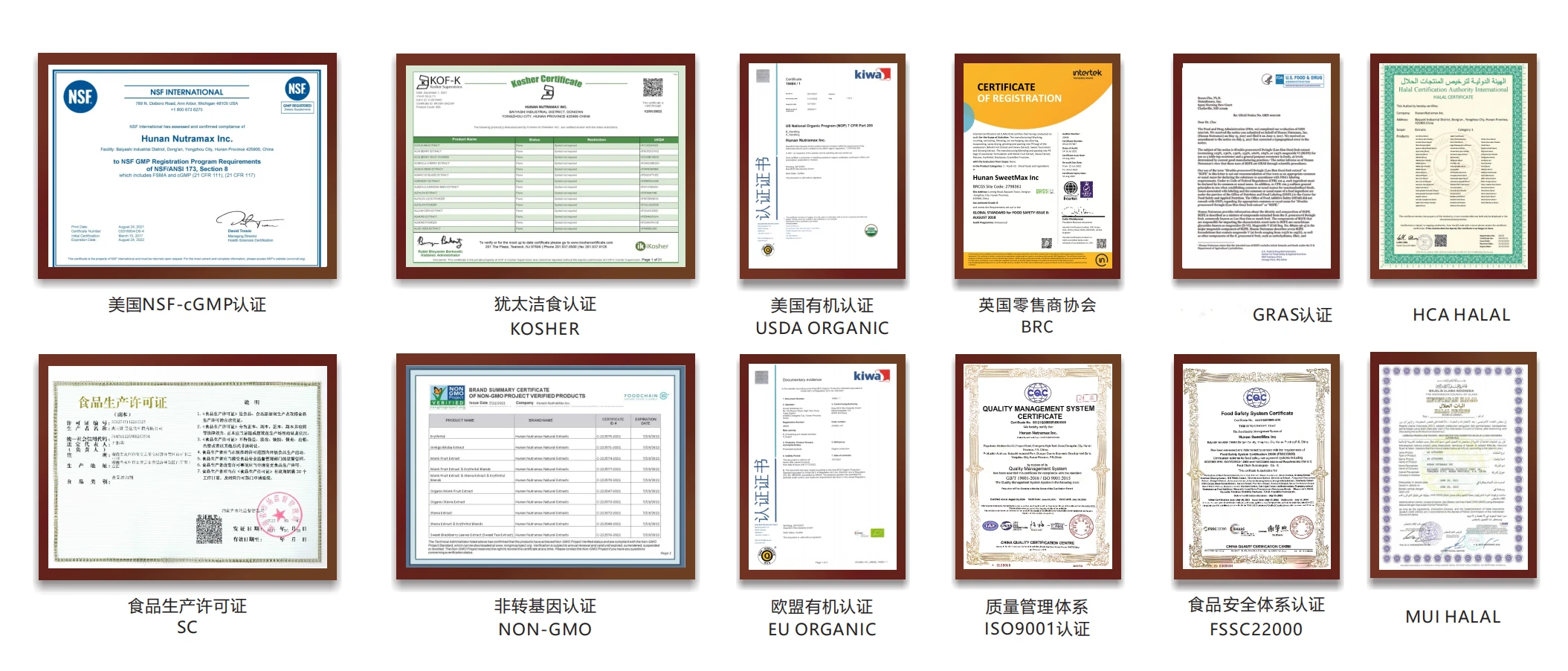 High Quality Turnip Seed Extract Radish Seed Powder Radish Seed Extract