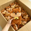 6 peluches (contáctanos para obtener el catálogo con más de 6000 estilos)