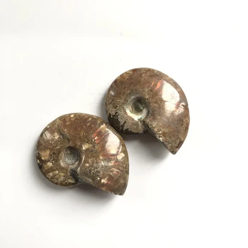 wholesale madagascar natural split specimen shell pendant ammonite fossil for Pendant