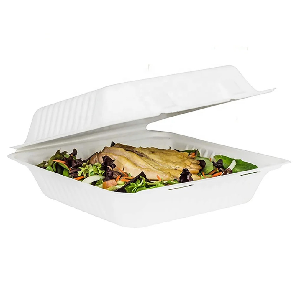 8inch Eco-friendly Biodegradable Clamshell Sugarcane Pulp Lunch Box ...