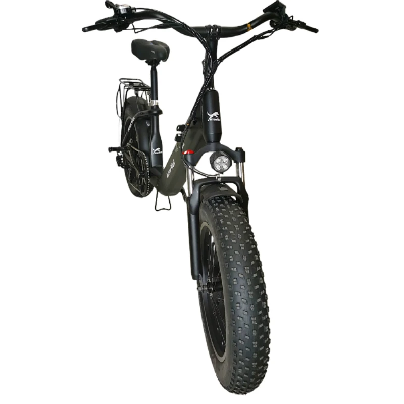 Electric Bike 20 Inch Foldable 4.0 Fat Tire Ebike Mountain Power