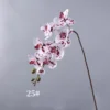 Bianco fucsia