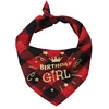 Ragazza rossa