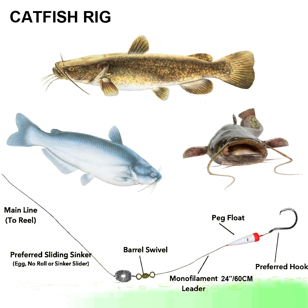 best catfish hooks