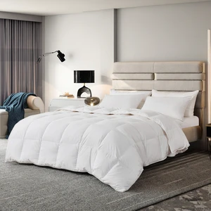 Pure White Feather Silk Cotton Printed Simple Hotel Duvet Inserts & Bedspreads Breathable Fall Brushed Linen Quilts