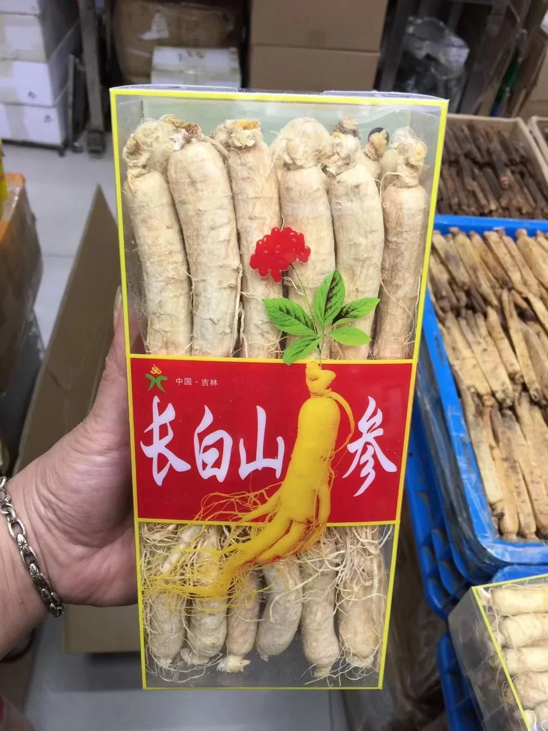 中国産高品質乾燥ハーブ単品香辛料大粒生長白山白参根| Alibaba.com