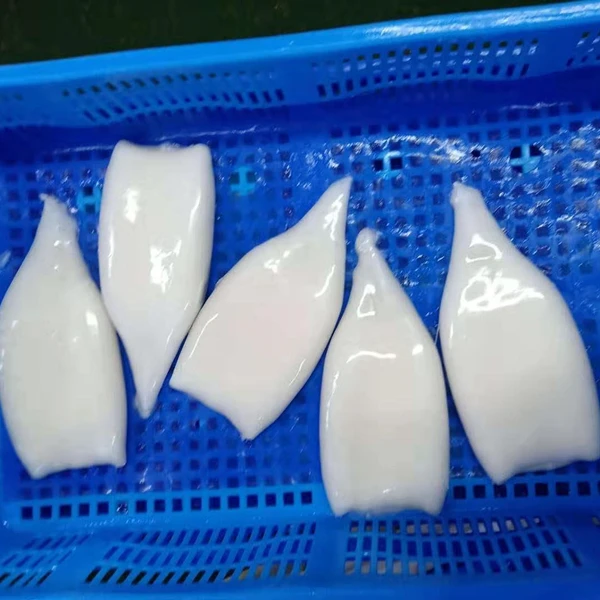 Supply Frozen Squid Tube to Sri Lanka